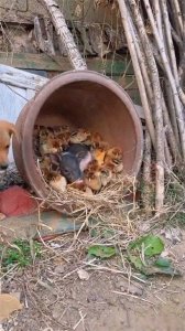 ​记住手机里不能存的八种照片1、身份证一照片2、银行卡一