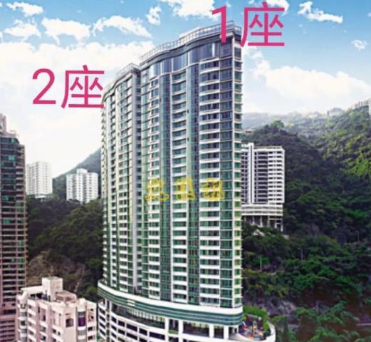 徐子淇个人资料图片(徐子淇的人生不简单)(20)