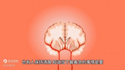 ​消逝的江水：长江断流的惊人瞬间