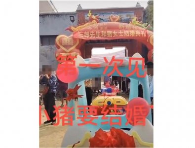 ​为哗众取宠博眼球，河南一男子和猪结婚，当地已对其处罚