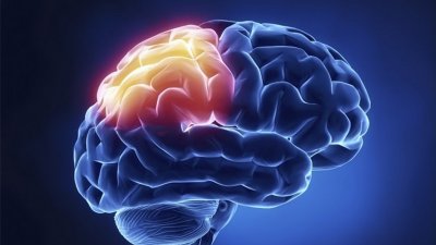 ​快速记忆的方法