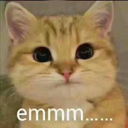 一组猫咪表情包 吸猫