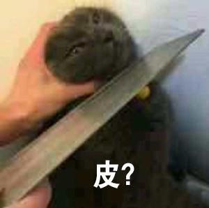 一组猫咪表情包 吸猫