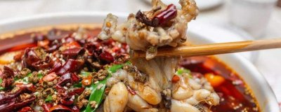 ​吃蛤蟆肉的禁忌