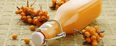 ​丁香沙棘茶的不良反应