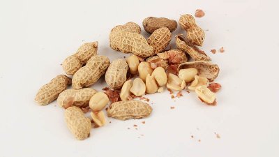 ​花生壳喂鸡有营养吗