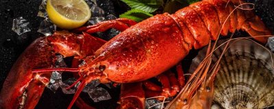 ​小龙虾的虾黄在哪里 小龙虾的虾黄在什么地方