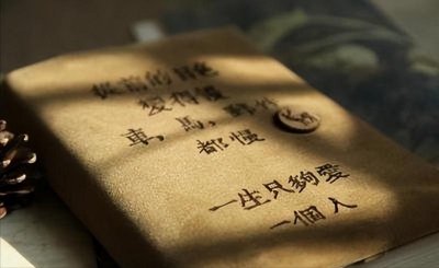 ​一生只够爱一个人