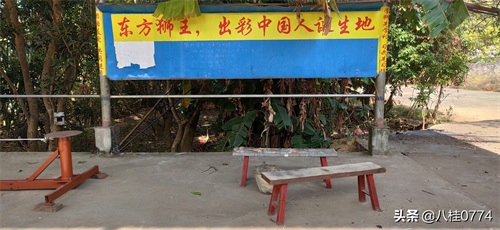 广西藤县禤洲岛:中国“东方狮王”诞生地,太美了!