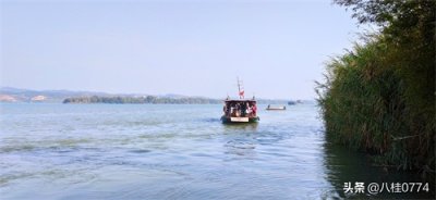 ​广西藤县禤洲岛：中国“东方狮王”诞生地，太美了！