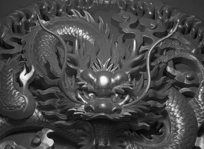 ​夏朝的龙到底是什么(水里游的龙是什么恐龙)