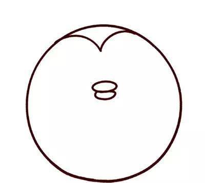 师讯网推荐——儿童简笔画5款可爱小动物简单画法图解