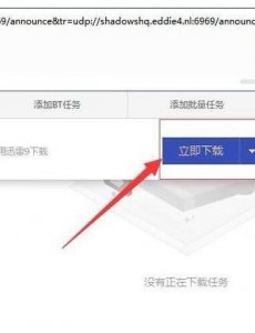 ​迅雷不能下载了（迅雷不能下载了怎么办）