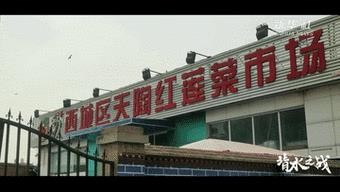 玉泉东农贸市场(玉泉东市场开业了吗)