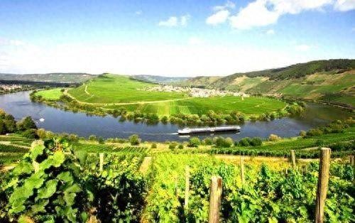 世界五大长寿之乡，中国占两个，其中一个长寿老人不断增多