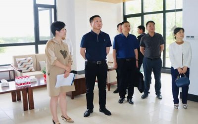 ​罗讯赴罗文村调研指导乡村振兴工作