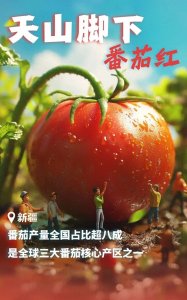 ​北纬38度！原来这么浪漫