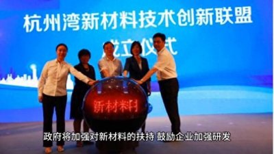 ​十大前景项目