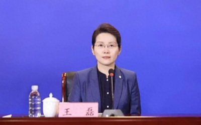 ​王磊任厅长，曾是全国最年轻女市长