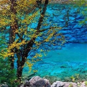 ​微信头像山水画最旺财的图片6张