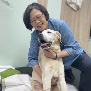 ​向赖清德示威？蔡英文突推“写真辑”，还放了郑文灿照片