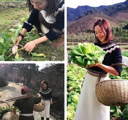 江一燕为啥叫江爬爬?江一燕老公是罗红还是(江一燕的老公是谁 罗红) 江一燕为啥叫江爬爬?江一燕老公是罗红还是(江一燕的老公是谁 罗红)