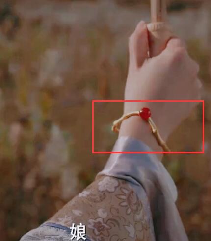 大唐女法医隋侯之珠有什么秘密 冉颜的手镯是隋侯之珠吗