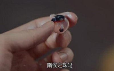 ​大唐女法医隋侯之珠有什么秘密冉颜的手镯是隋侯之珠吗