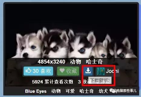 超清精美电脑壁纸（70多万张高清电脑壁纸任你选）(4)