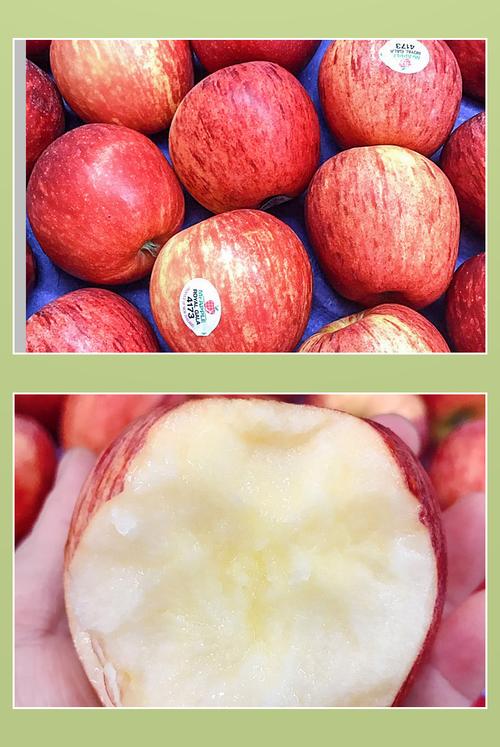 嘎啦果的功效与作用（嘎啦果的功效与作用介绍）