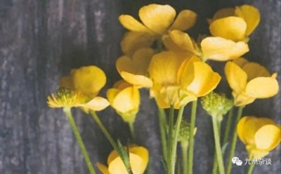 ​婚外情有5种“诱惑”，男人一旦尝到甜头就难自拔，女人需谨慎！