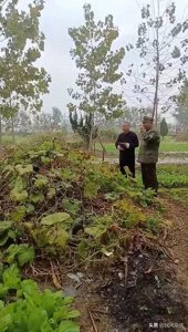 ​上坟动土的那些讲究，你真的了解吗？