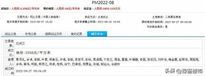 ​商城县城区3块微型宅地网拍，被49个自然人竞得