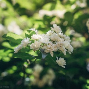 ​2025西安电子科技大学硕士研究生招生调剂