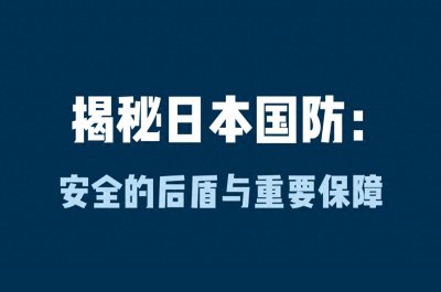 ​日本的国防类型