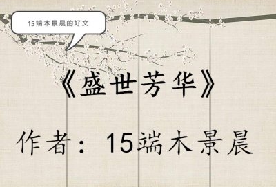 ​15端木景晨的好文，强推《盛世芳华》《春闺记事》《锦绣民国》