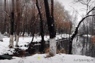 ​一些赞美雪景的唯美诗词