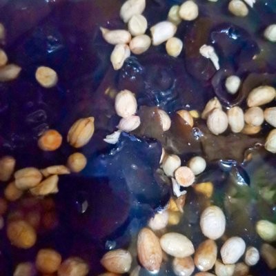 小红萝卜凉拌的做法大全(经典的家常凉拌菜)