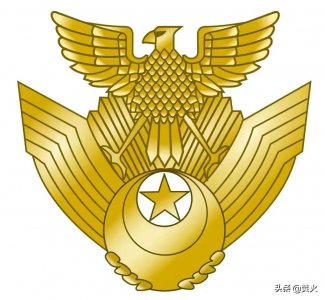 ​亚洲国家：日本航空自卫队
