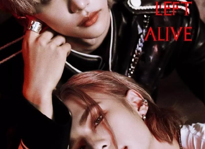 离婚的司法程序怎么走 离婚的司法程序怎么走