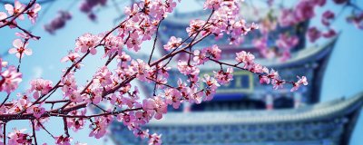 ​立春的别称和雅称