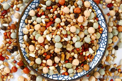 ​养鸽子的方法 新手必看！