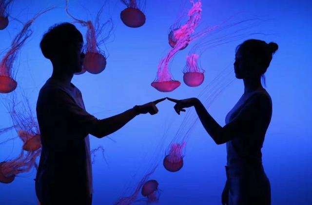 南京海底世界门票免票 南京海底世界请你们全班免费玩啦(11)