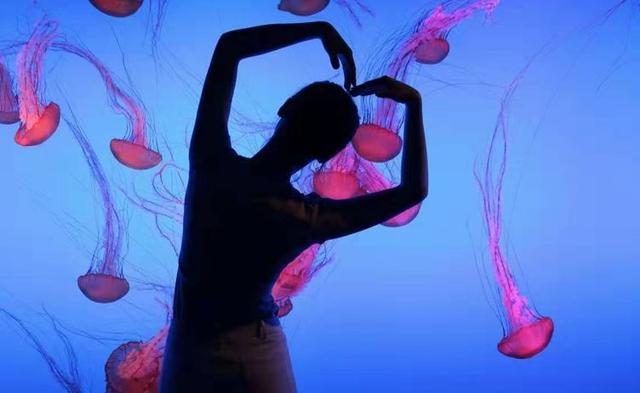 南京海底世界门票免票 南京海底世界请你们全班免费玩啦(32)