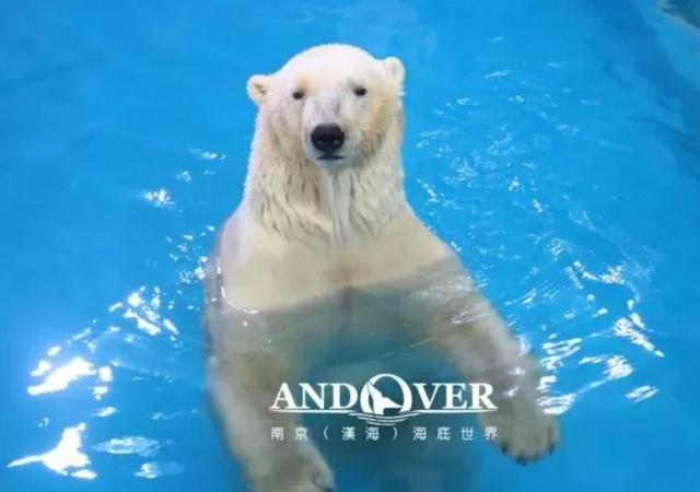 南京海底世界门票免票 南京海底世界请你们全班免费玩啦(16)