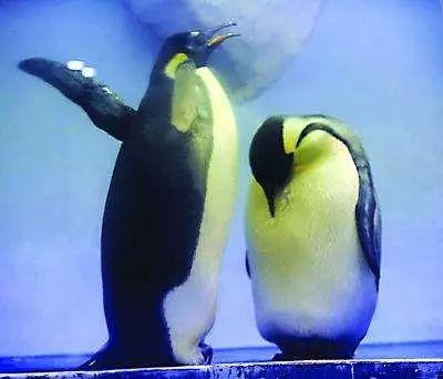 南京海底世界门票免票 南京海底世界请你们全班免费玩啦(18)