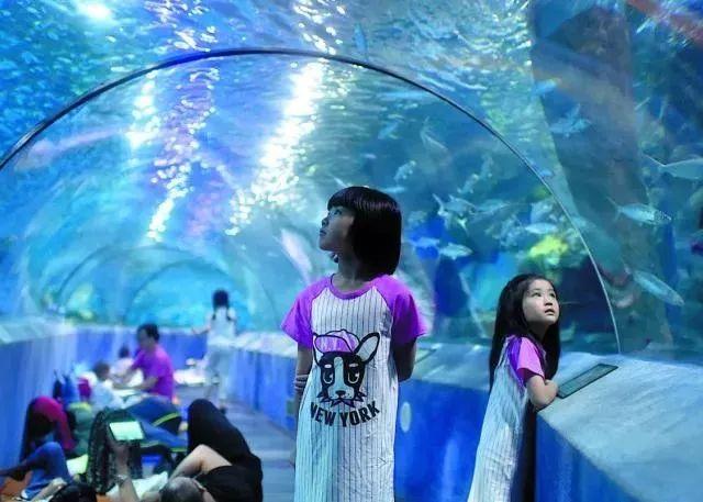 南京海底世界门票免票 南京海底世界请你们全班免费玩啦(7)