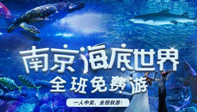南京海底世界门票免票 南京海底世界请你们全班免费玩啦(1)