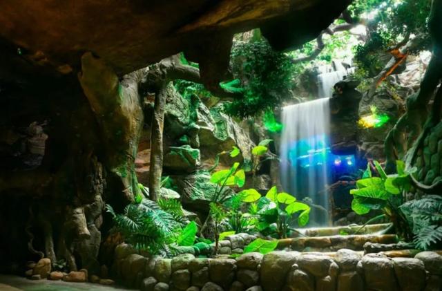 南京海底世界门票免票 南京海底世界请你们全班免费玩啦(14)