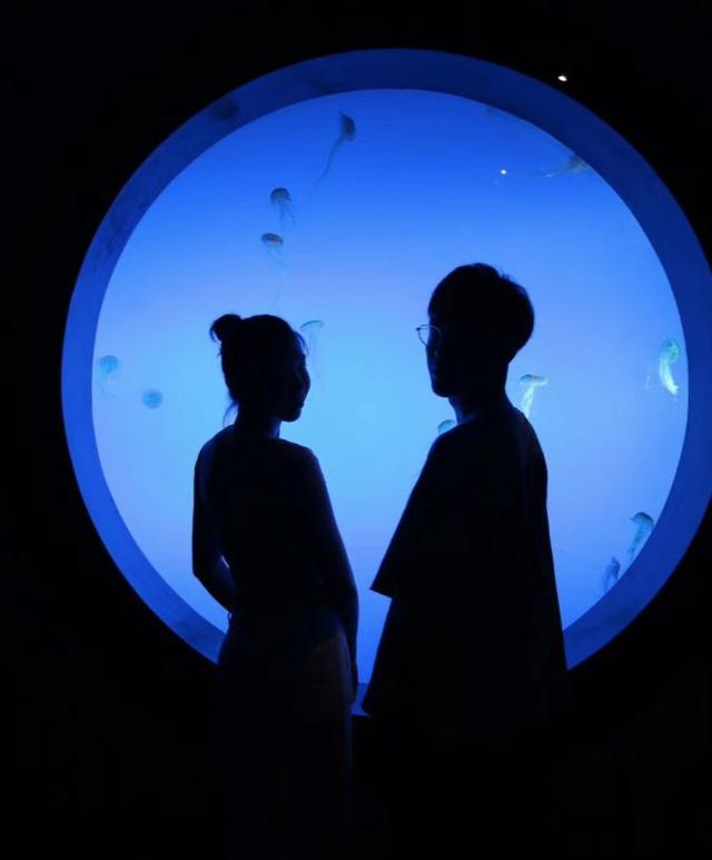 南京海底世界门票免票 南京海底世界请你们全班免费玩啦(30)